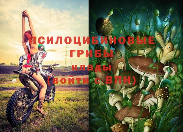 твердый Бородино