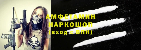твердый Бородино