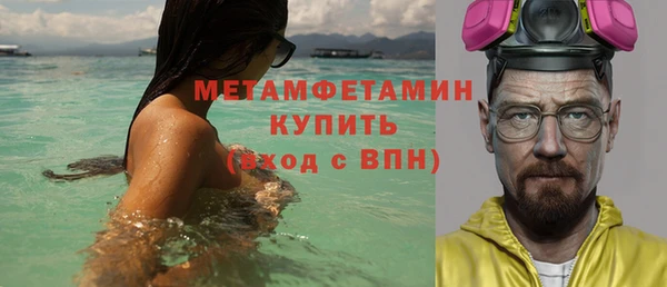 твердый Бородино