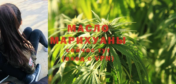 твердый Бородино