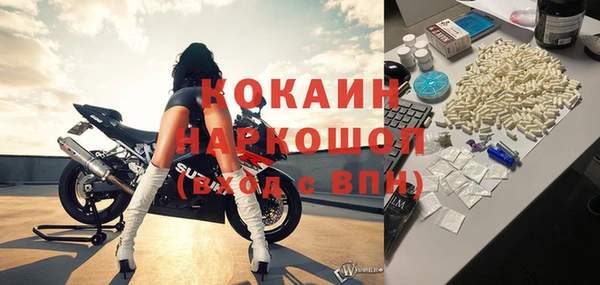твердый Бородино