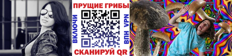 дарнет шоп  KRAKEN зеркало  Псилоцибиновые грибы MAGIC MUSHROOMS  Набережные Челны 